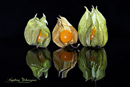 Obst - Physalis