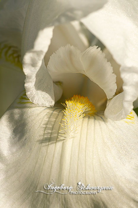 71
