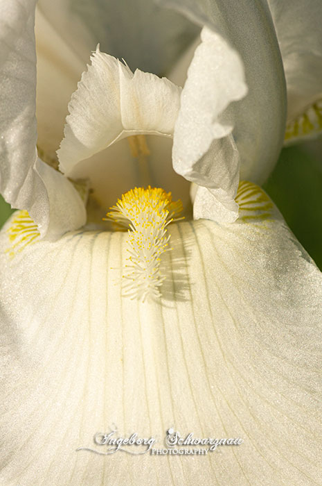 74