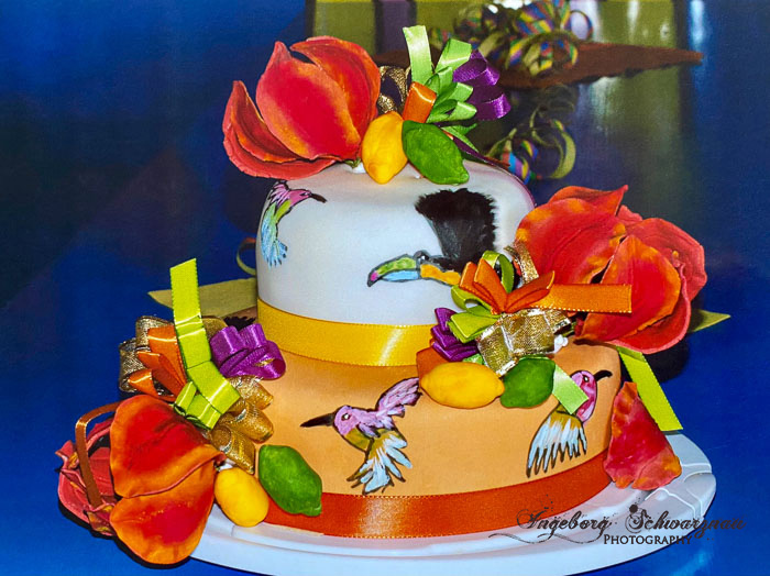 Tucantorte 7533