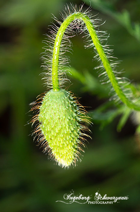 060