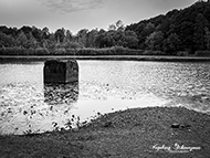 Saufangweiher Bildstock