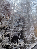 Eisblumen auf meinem Auto