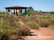 Fototour - Mehlinger Heide 06.08.2026