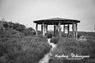 Mehlinger Heide