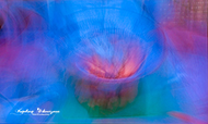 ICM Farbe - Food