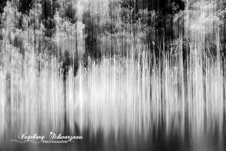 S/W ICM
