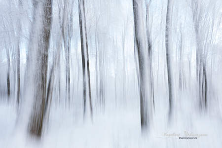 ICM - Winter