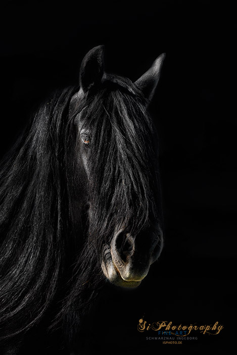 FINE ART - Friese 191