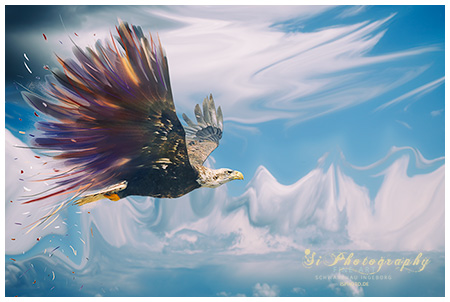 FINE ART - Greifvogel 110