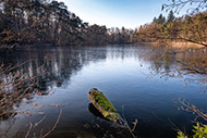 1 Retzbergweiher