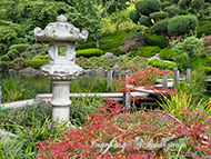 Japanischer Garten