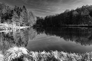 Fototour Billesweiher und Eselsmühle