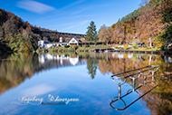 Eiswoog im Herbst