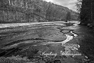 Fototour - Schwarzweiher