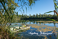 Altrip-Jäferweiher, Karpfenweiher, blaue Adria