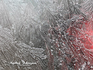 Handy Fotografie - Frost