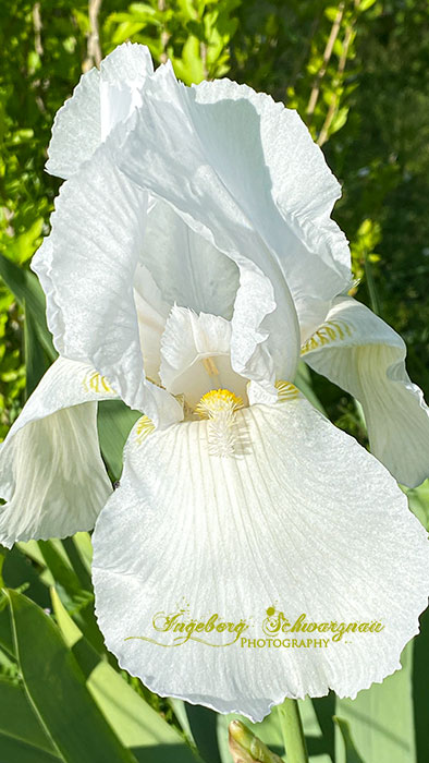 E1343