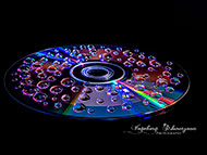 Wassertropfen auf CD