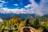 Landschaften - Wald
