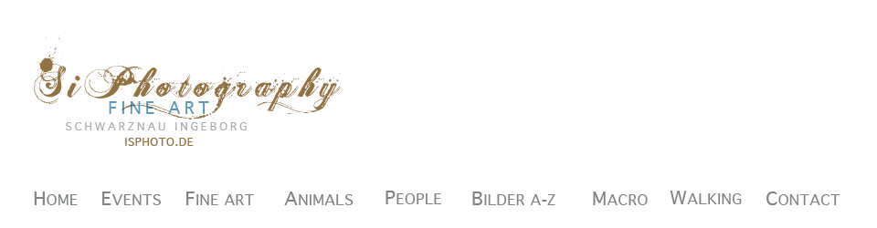 Logo, Si Photography, Ingeborg Schwarznau