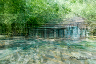 Mehrfachbelichtung Wald 30