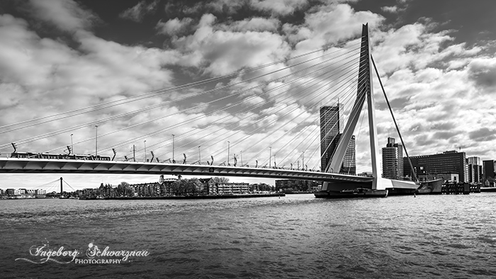 8364 Brücke Hafen Rotterdam