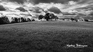Landschaft
