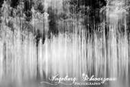 ICM Schwarz/Weiss