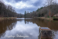 Enkenbach Schwarzweiher 024