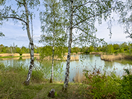 Eisenberg Erdekaut
