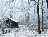 Donnersberg