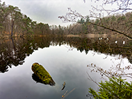 Wandern-Retzbergweiher