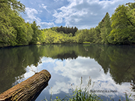 Retzbergweiher