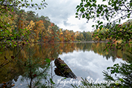 Retzbergweiher